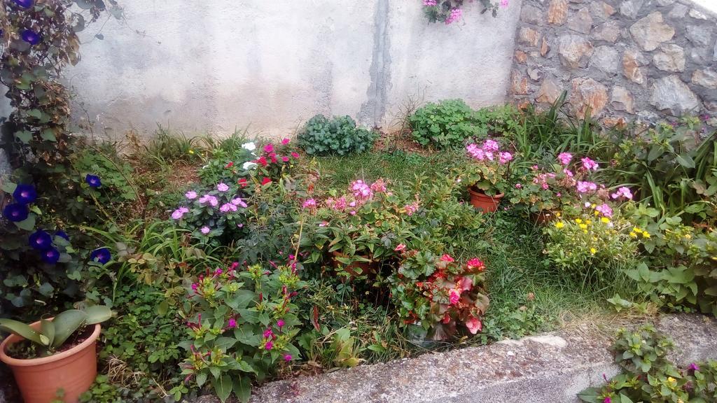 Guesthouse Filepi Senj  Exterior foto